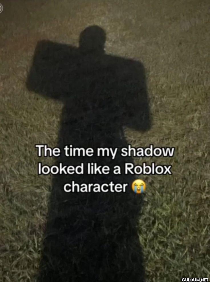 The time my shadow looked...