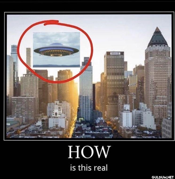 HOW is this real