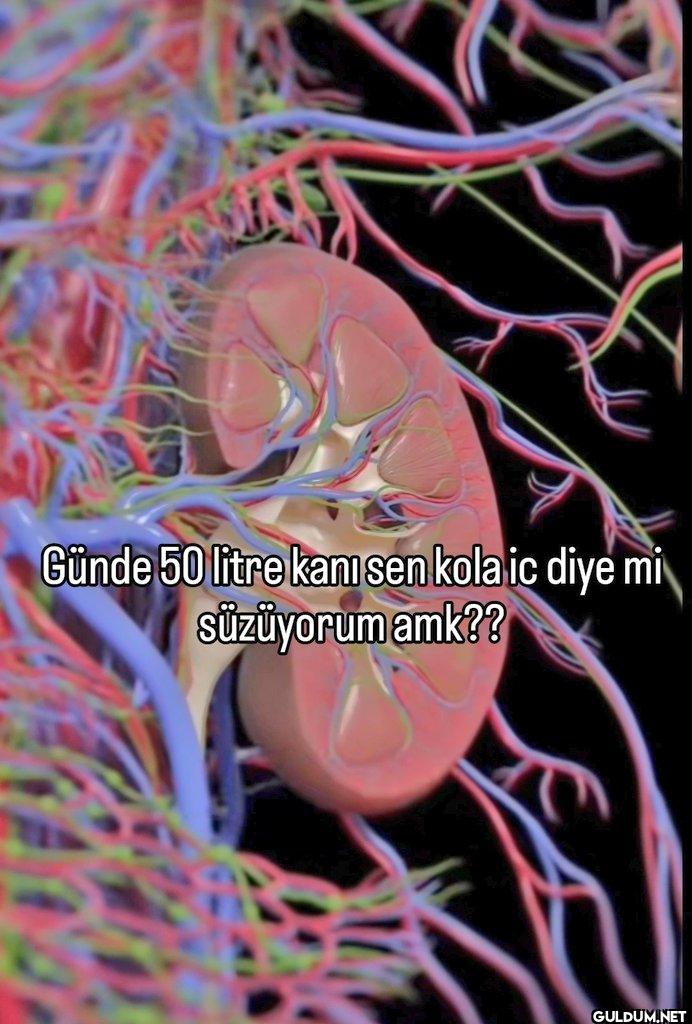 Günde 50 litre kanısen...