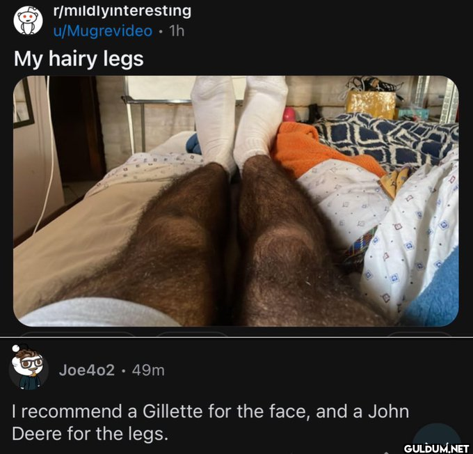r/mildlyinteresting...