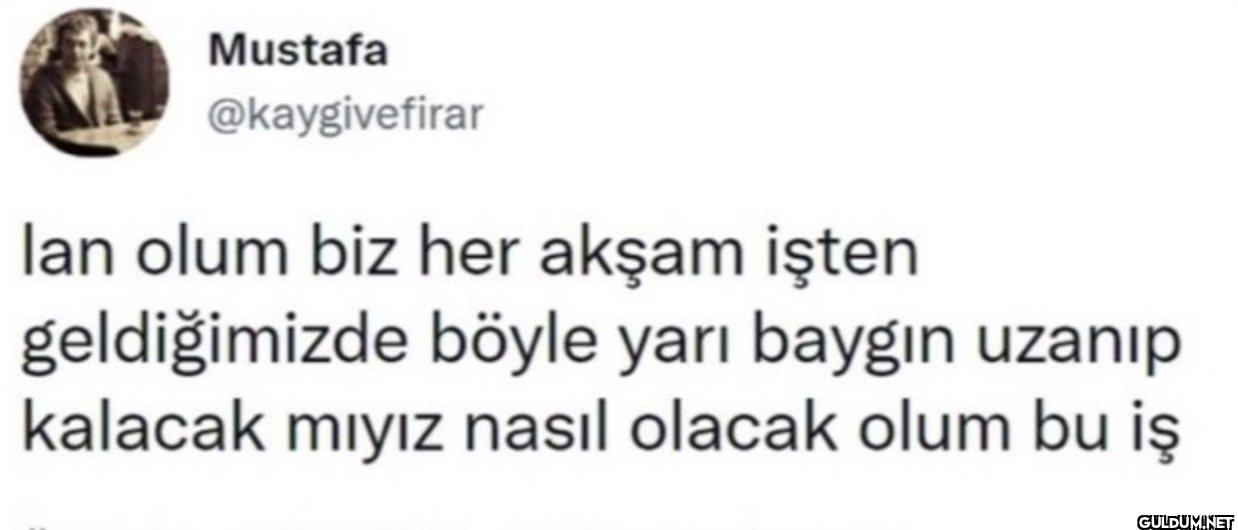 lan olum biz her akşam...