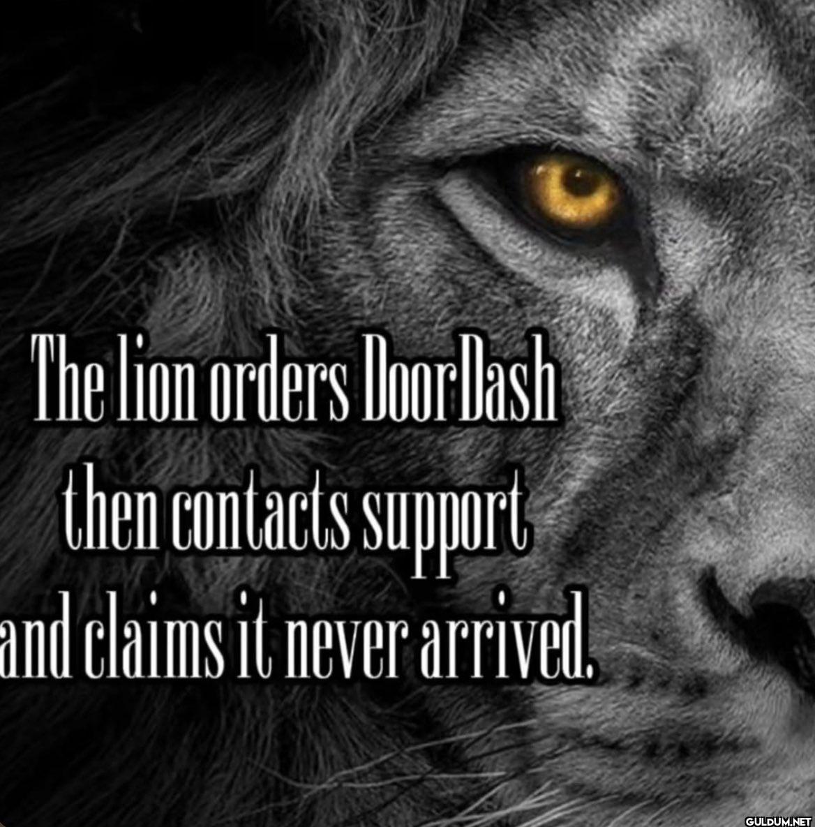 The lion orders DoorDash...