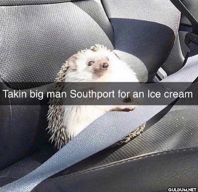 Takin big man Southport...