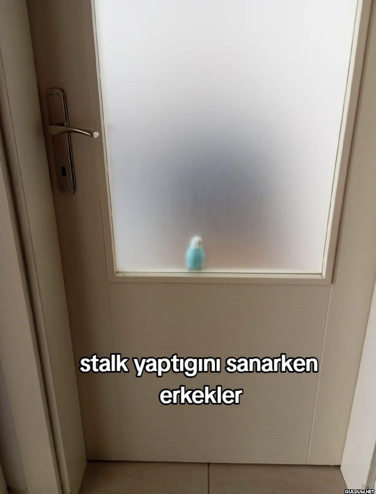 30 stalk yaptıgını...