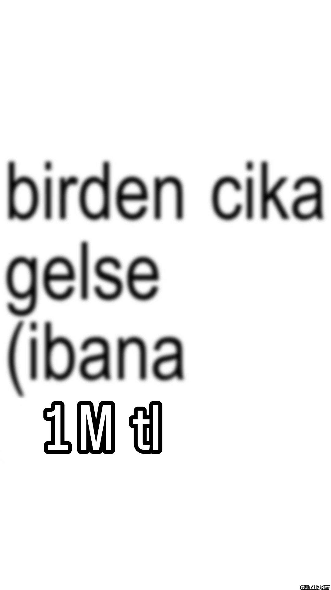 birden cika gelse (ibana 1M t