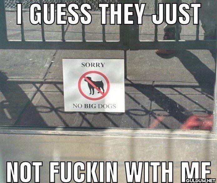 I GUESS THEY JUST SORRY NO...