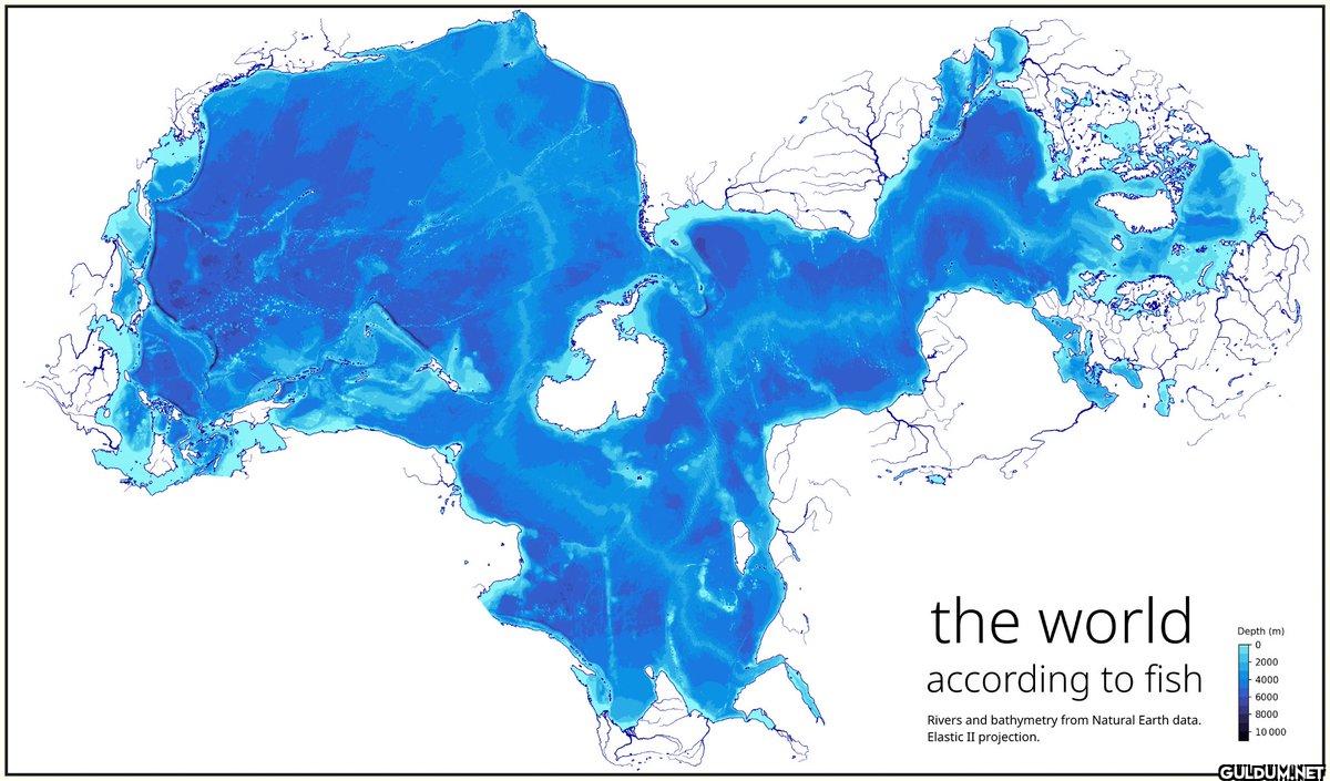 16. The world according to...