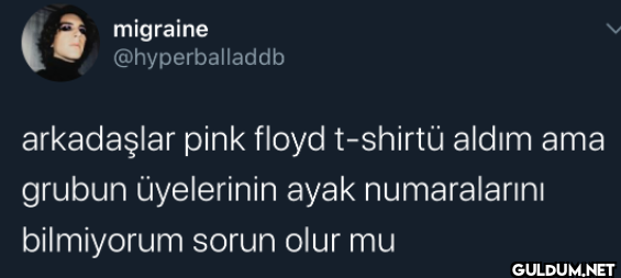 arkadaşlar pink floyd...