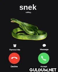 snek calling... Remind Me...