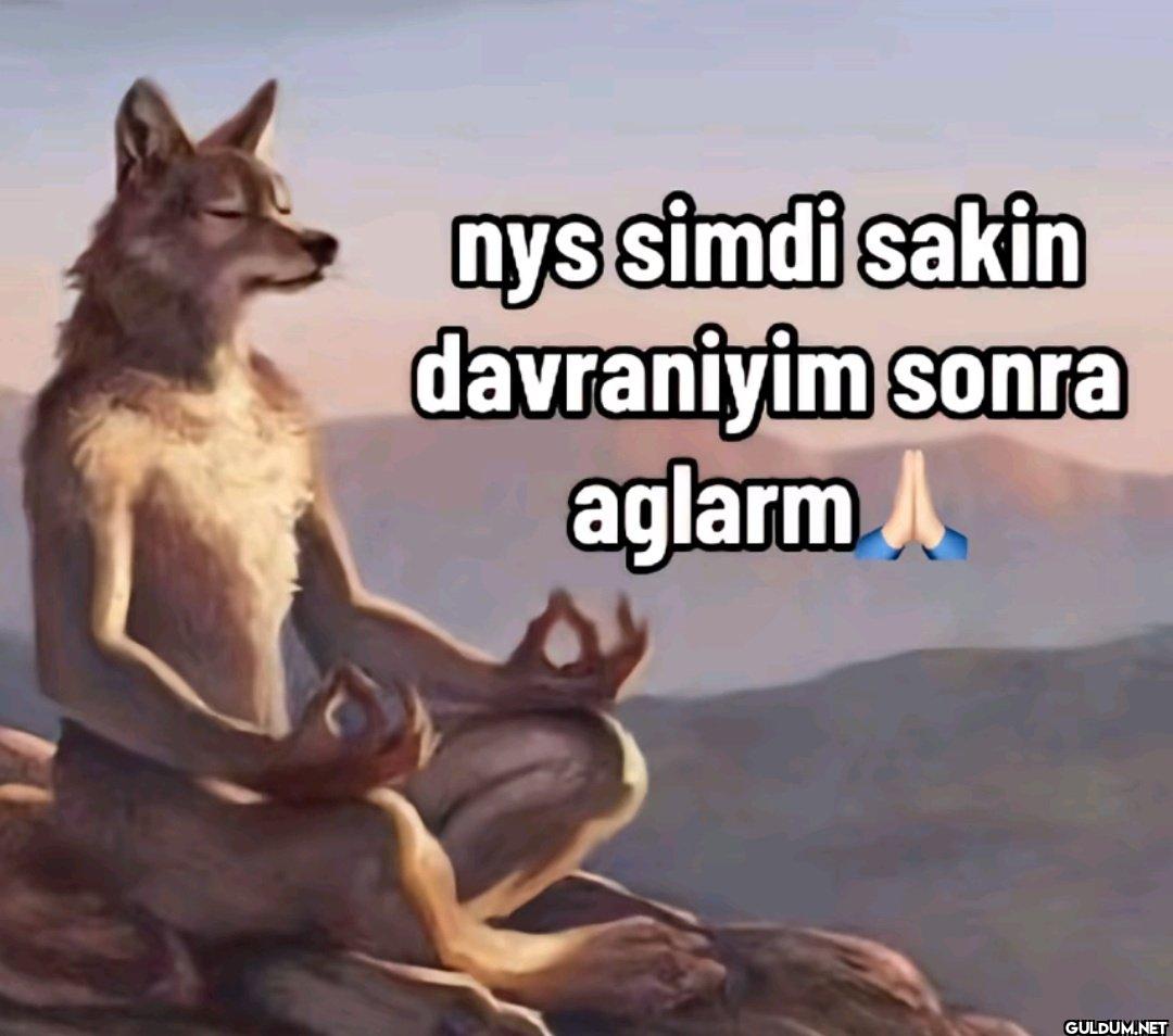 nys simdi sakin davraniyim...