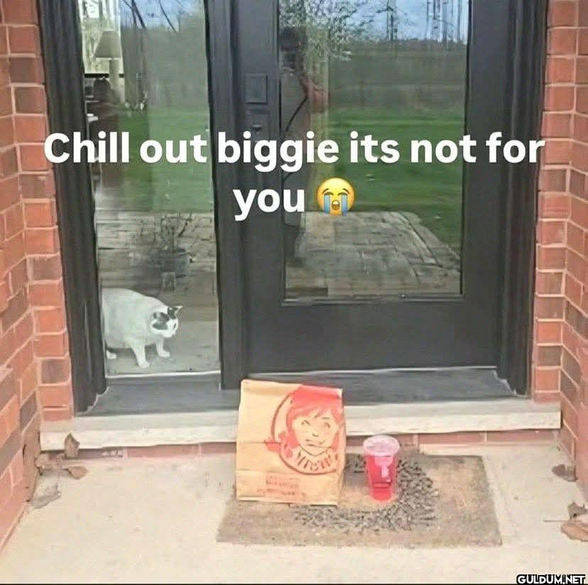 Chill out biggie its not for you