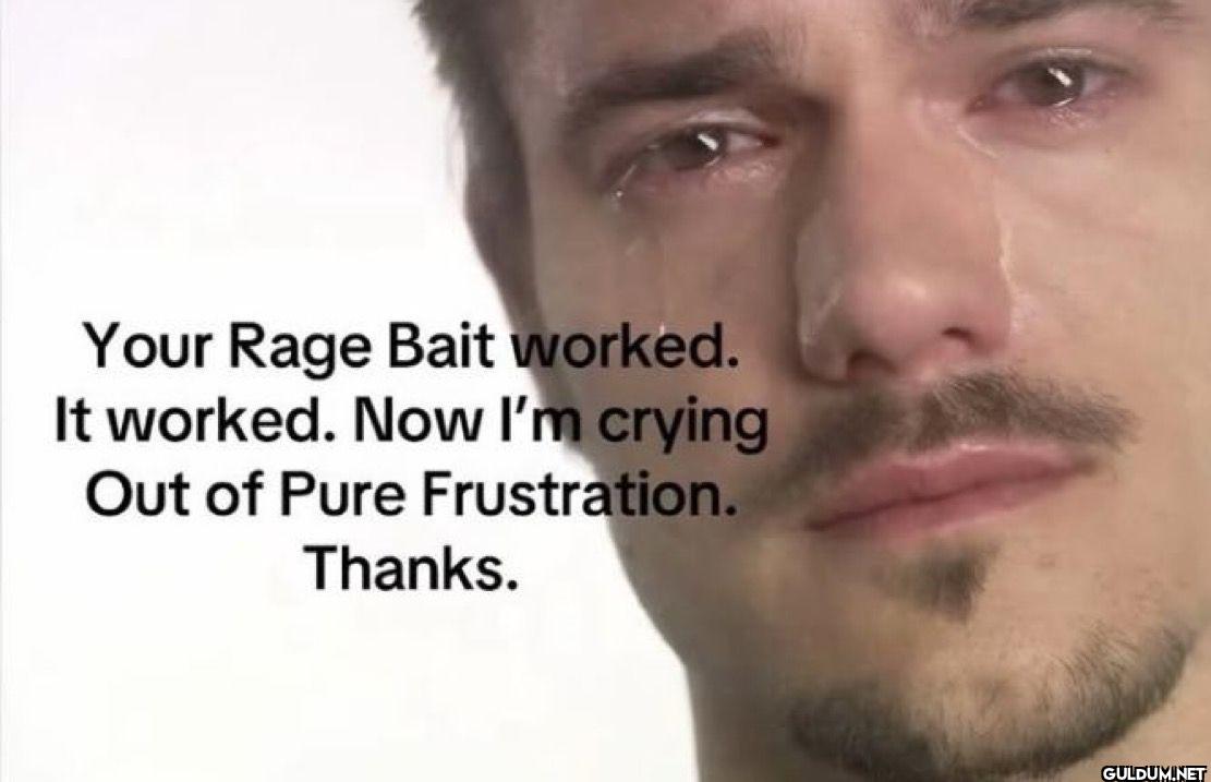 Your Rage Bait worked. It...