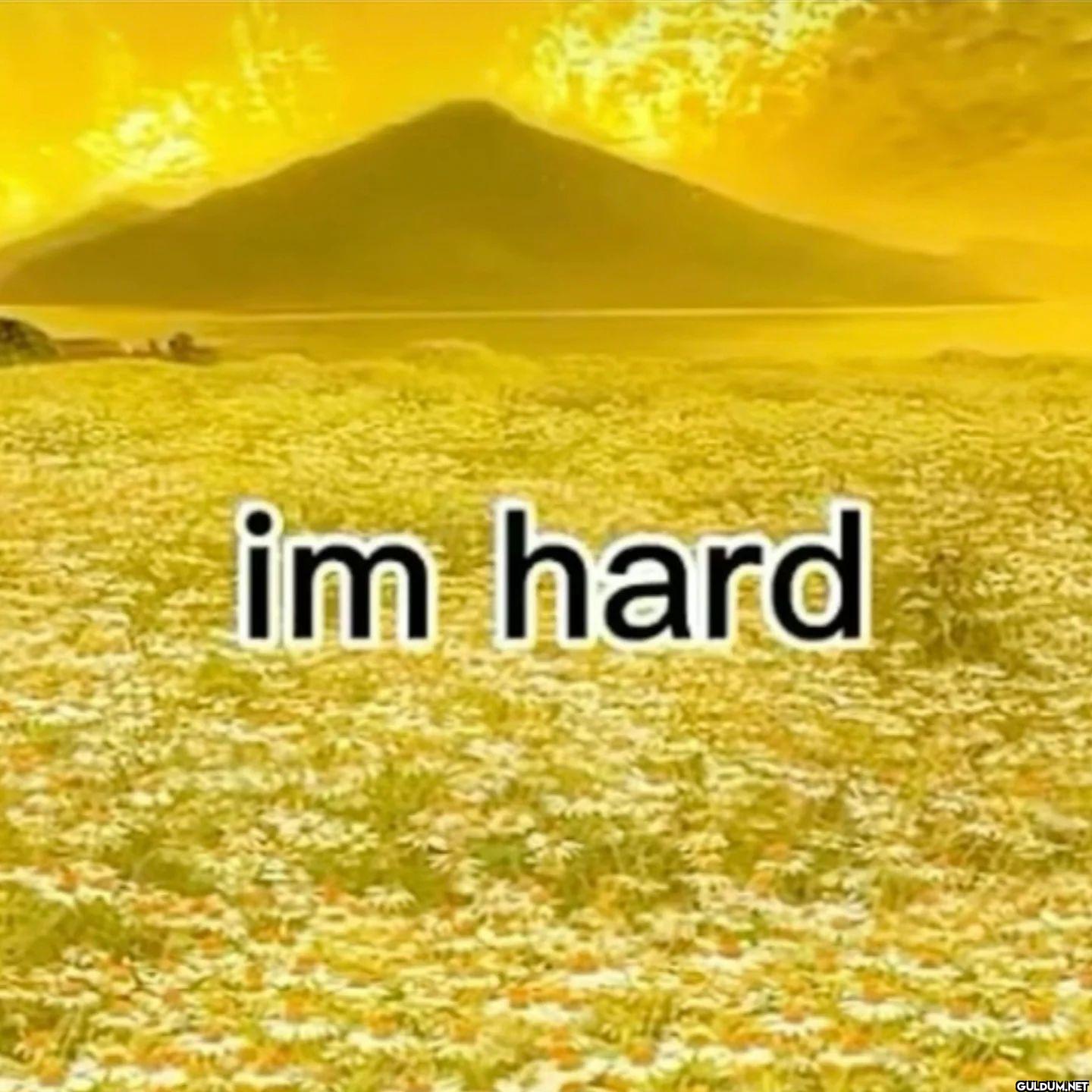 im hard