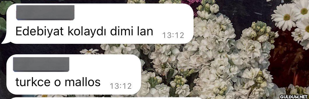Edebiyat kolaydı dimi lan...
