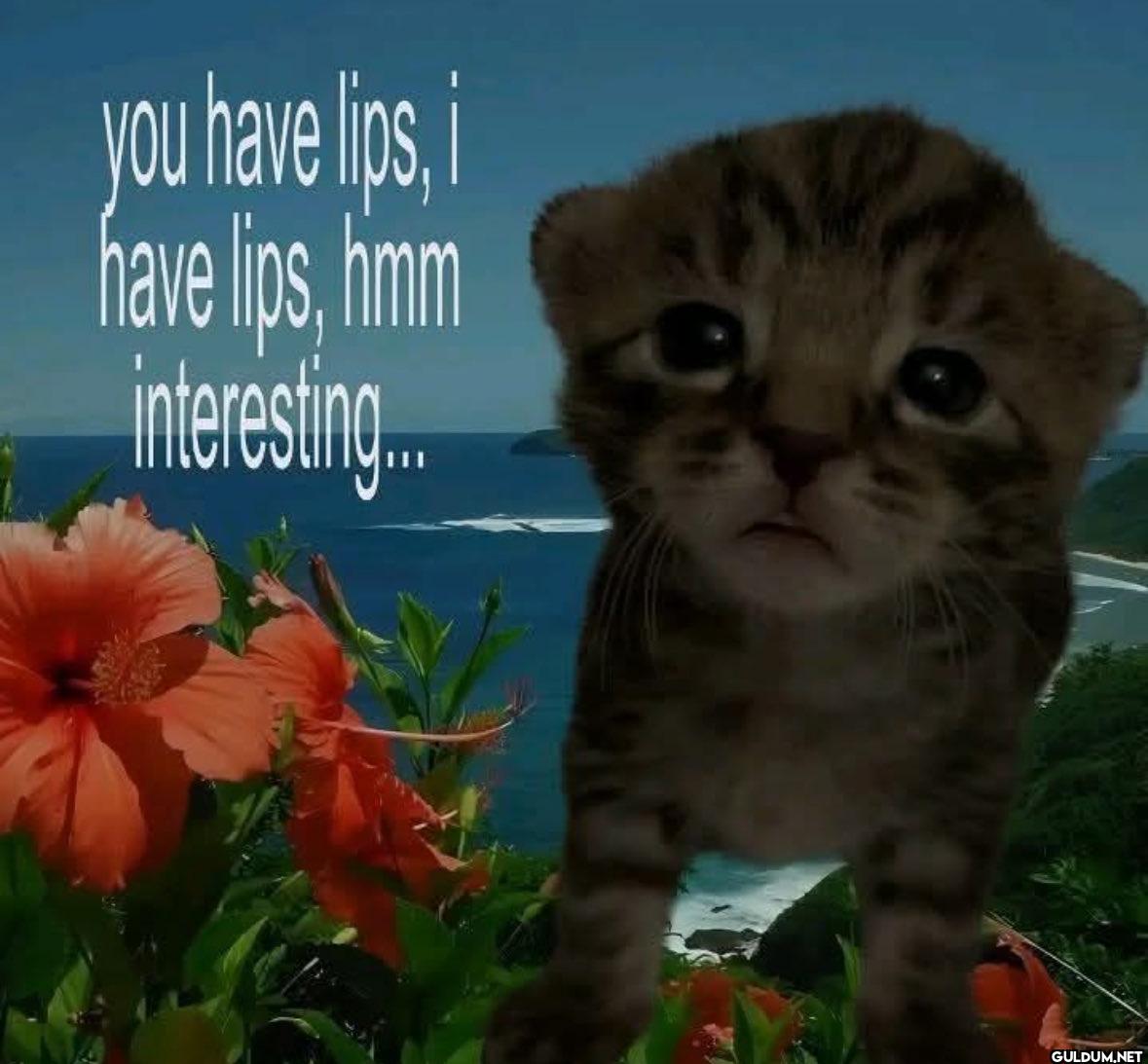 you have lips, i have...