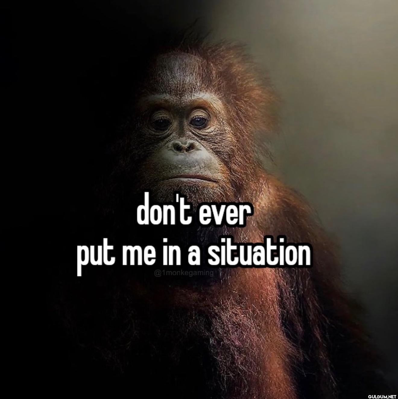 don't ever put me in a...