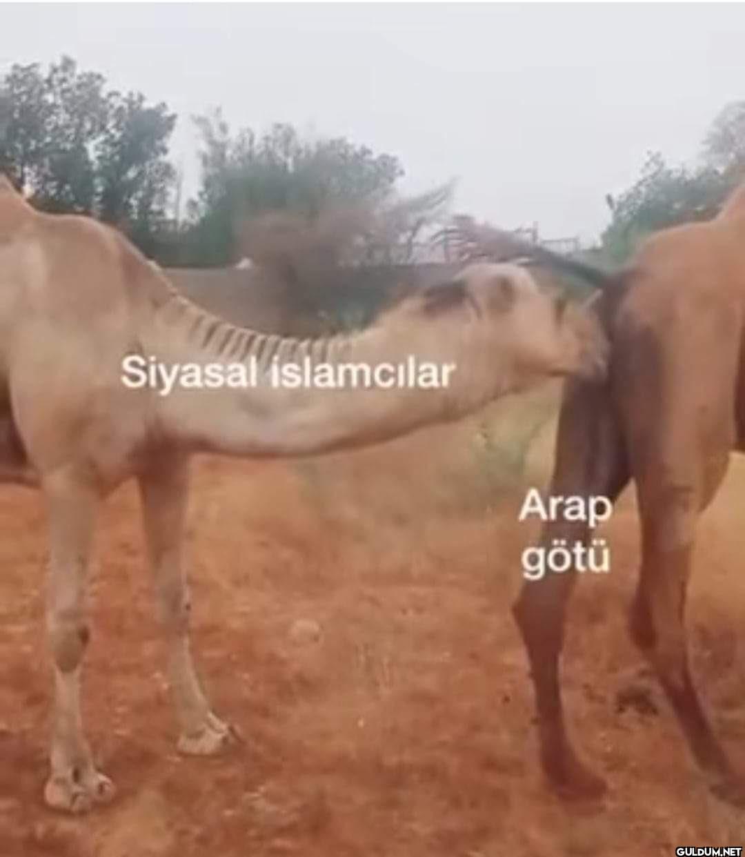 Katılanlar?    Siyasal...