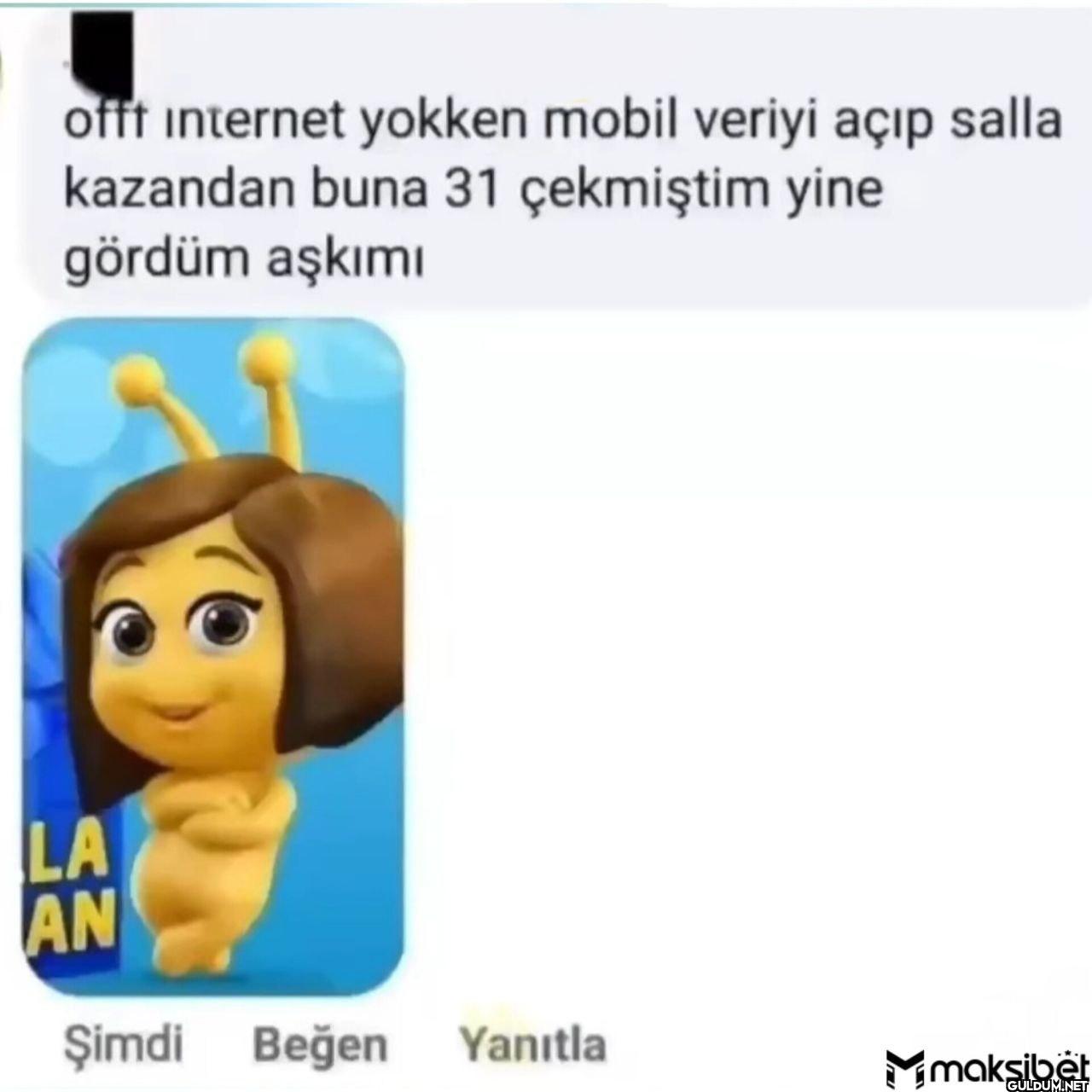 nE    offt internet yokken...