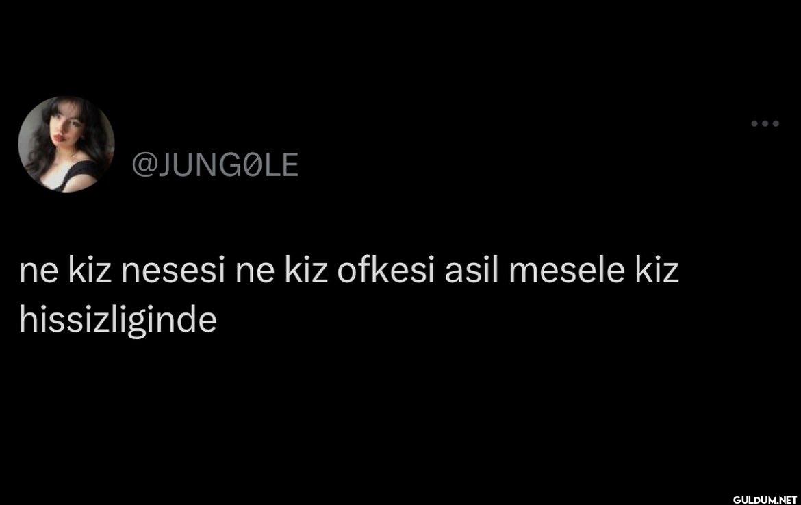 ne kiz nesesi ne kiz...
