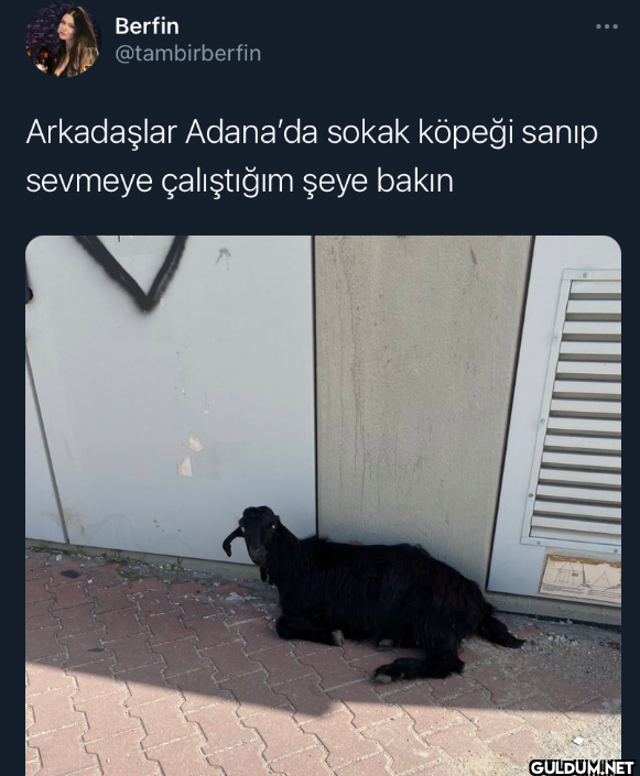 Arkadaşlar Adana'da sokak...