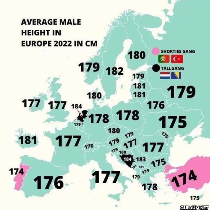 22. Average male height in...