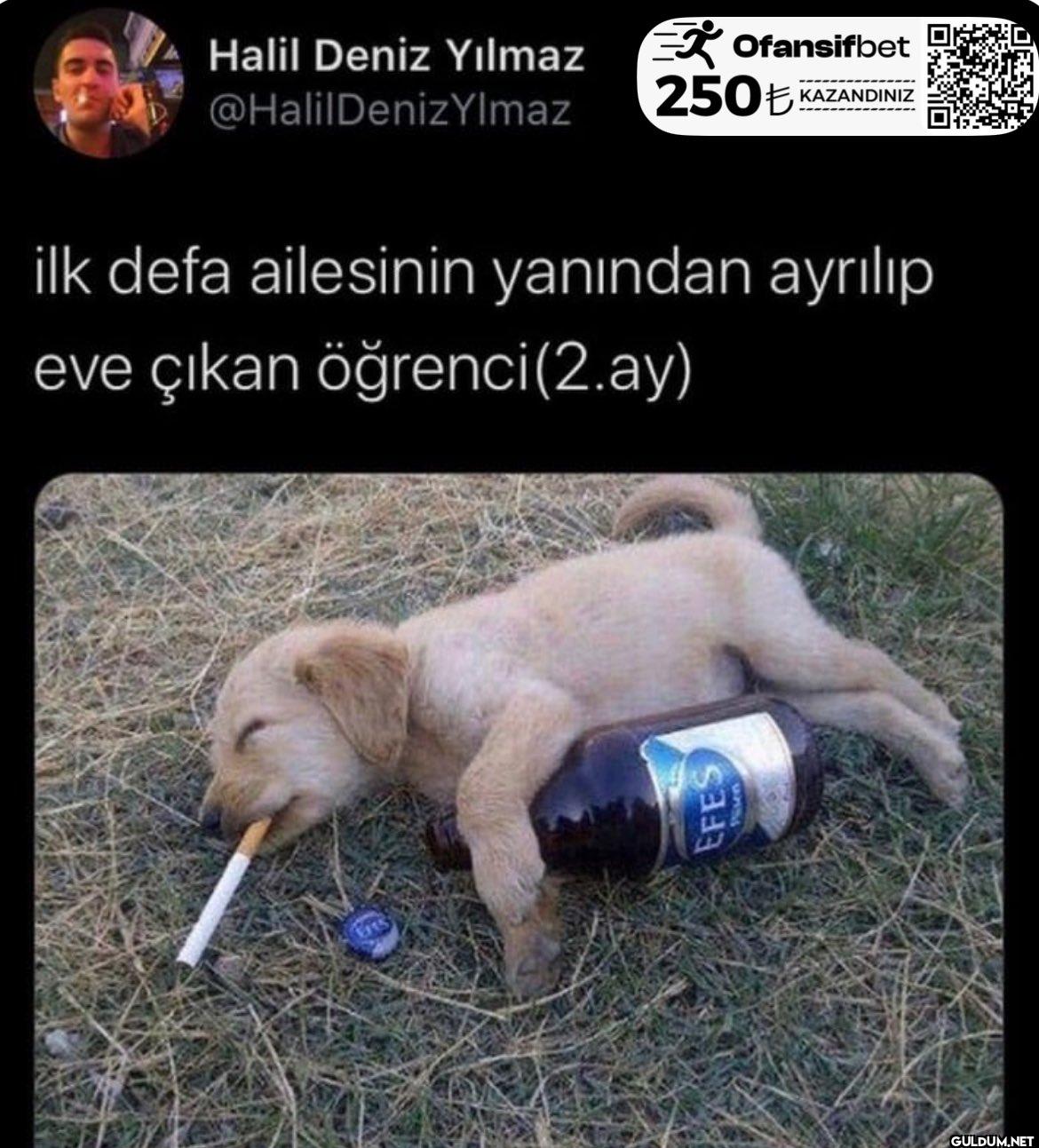 Ofansifbet 250€ KAZANDINIZ...