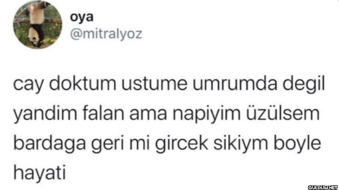 cay doktum ustume umrumda...