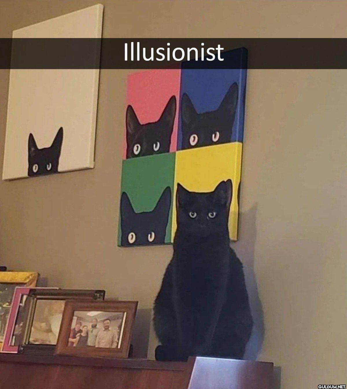 Illusionist ου ου 0 Ου