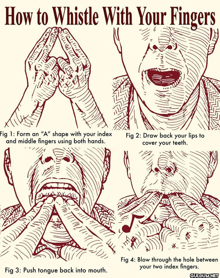 3. How To Whistle With...