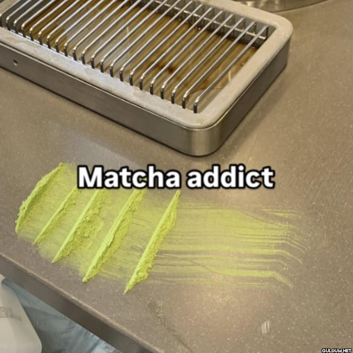 ︎ ︎ ︎ ︎ ︎    Matcha addict