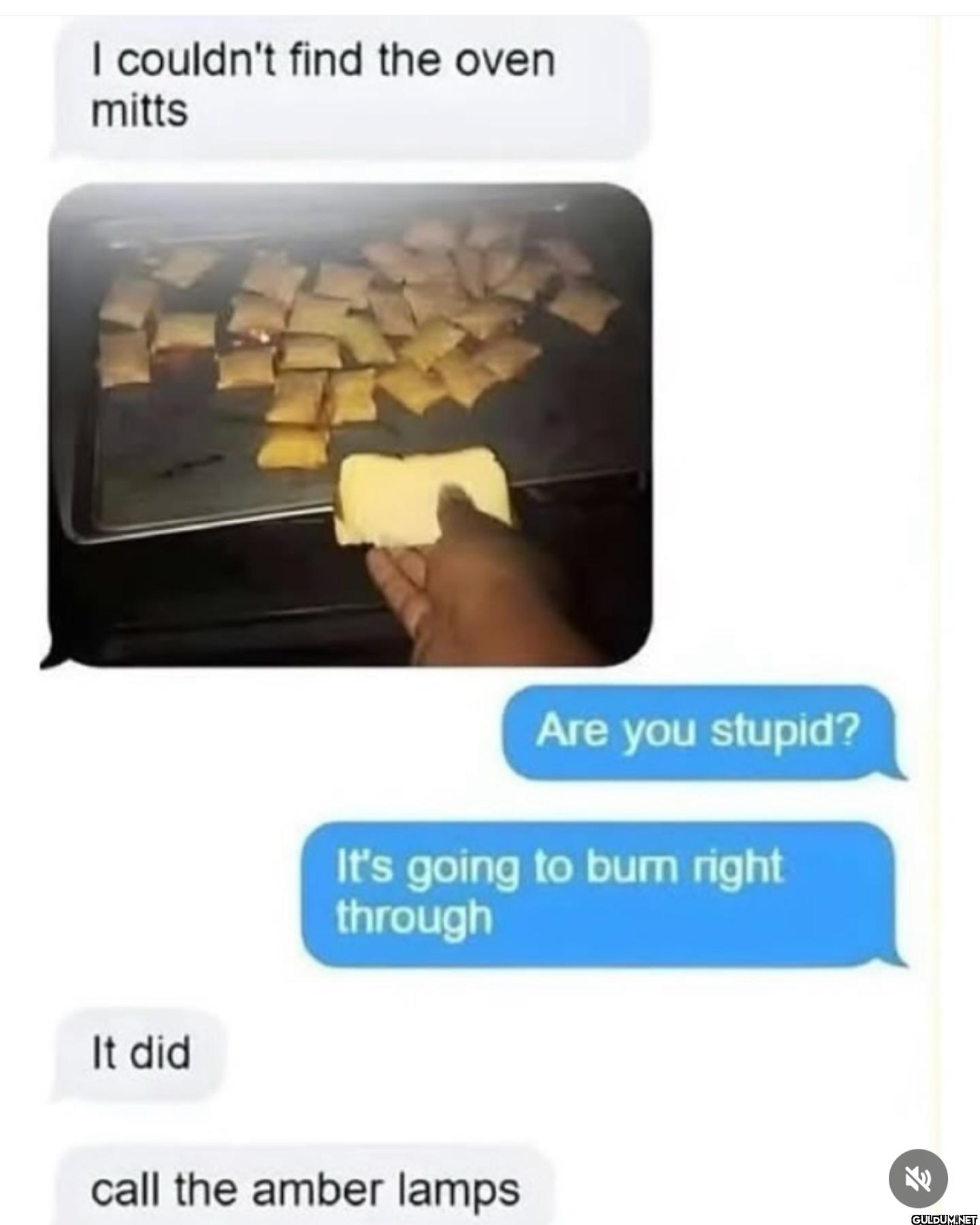 "it did"💀😭    I couldn't...