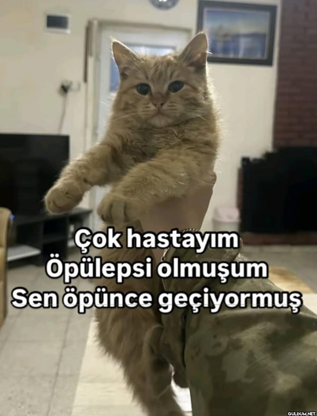 Popular post