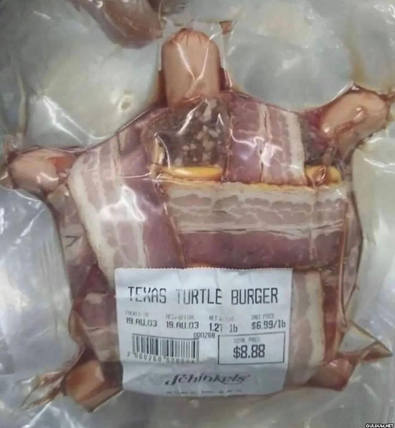 TEXAS TURTLE BURGER CHURE...