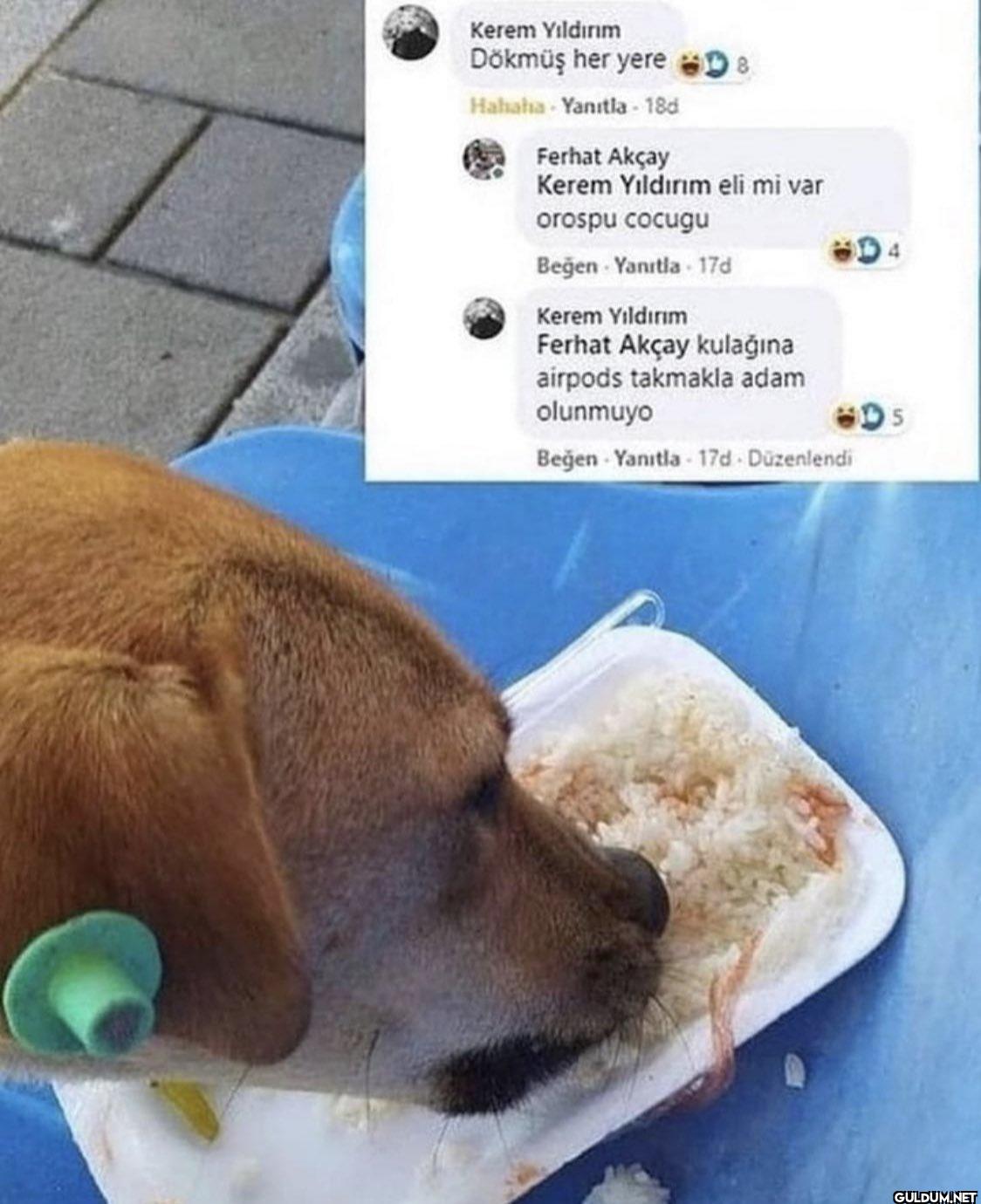 Kerem Yıldırım Dökmüş her...