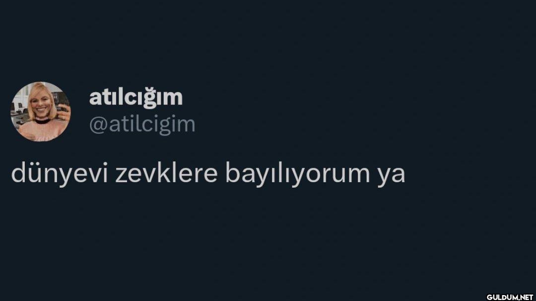 dünyevi zevklere bayılıyorum ya