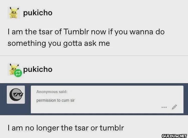 pukicho I am the tsar of...