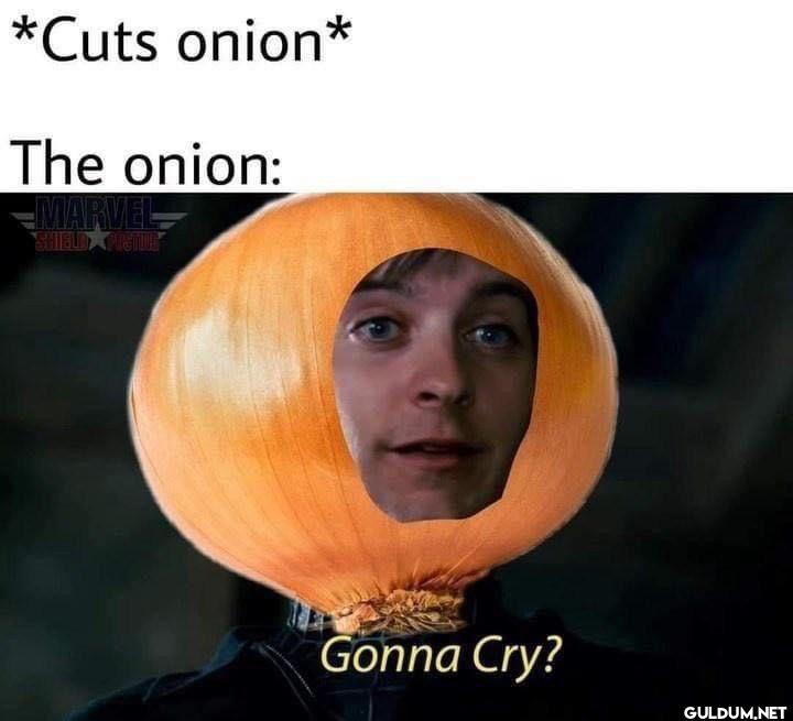 *Cuts onion* The onion:...
