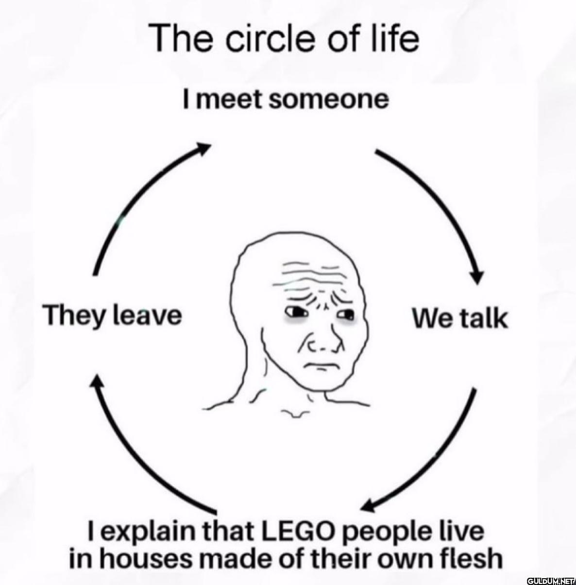 The circle of life I meet...