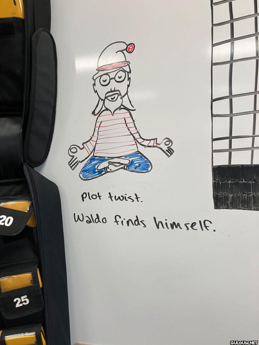 Plot twist. Waldo finds himself.