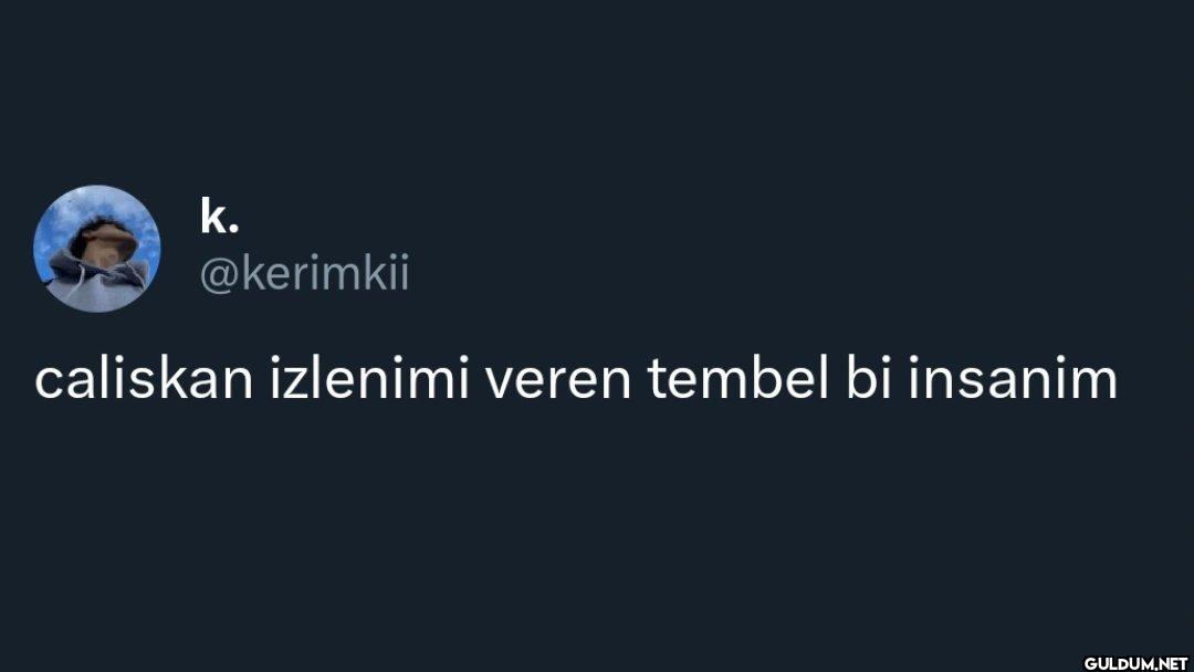 caliskan izlenimi veren...
