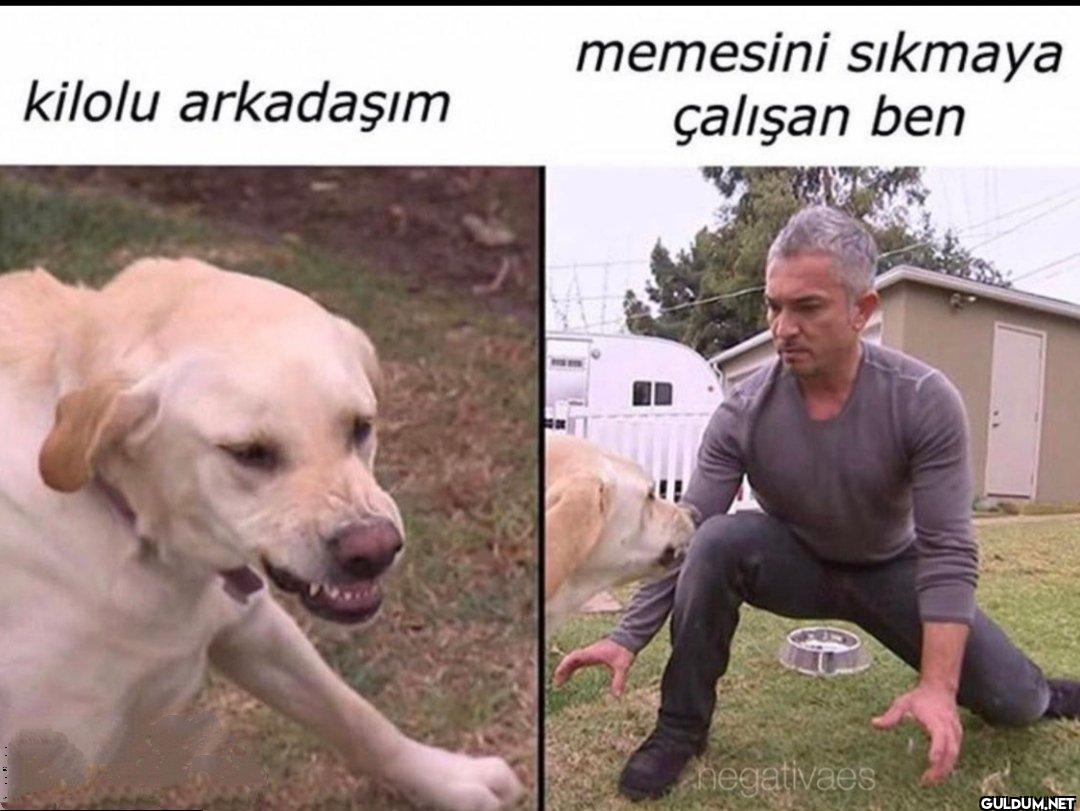 kilolu arkadaşım memesini...