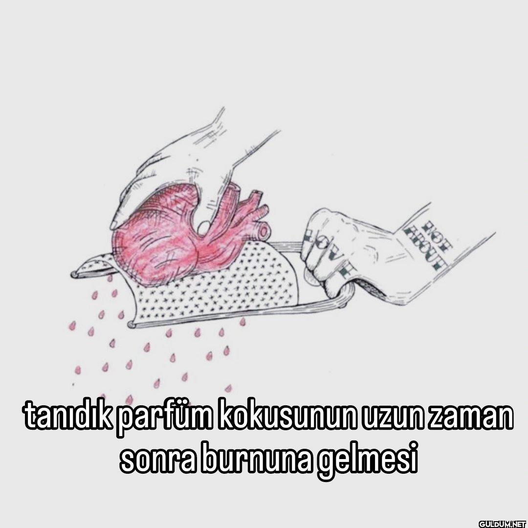 HOM ABOUT tanıdık parfüm...