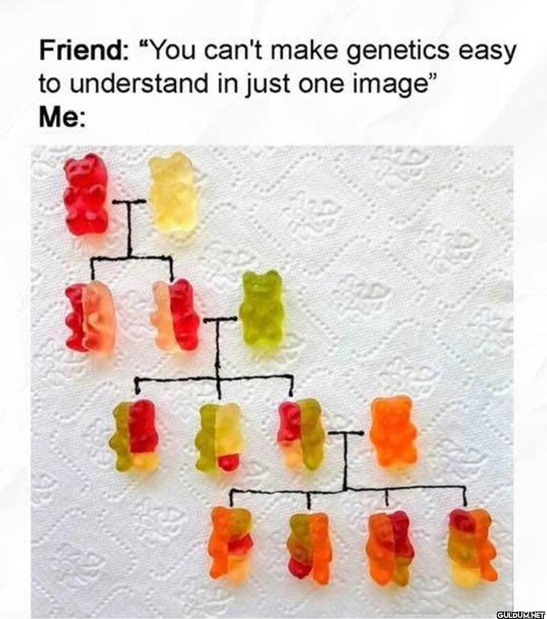 Friend: "You can't make...