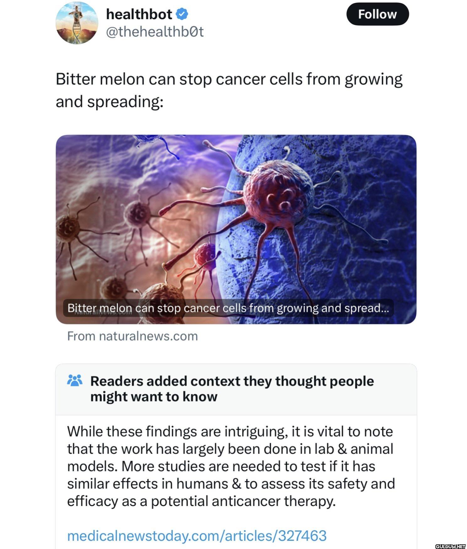 Follow Bitter melon can...