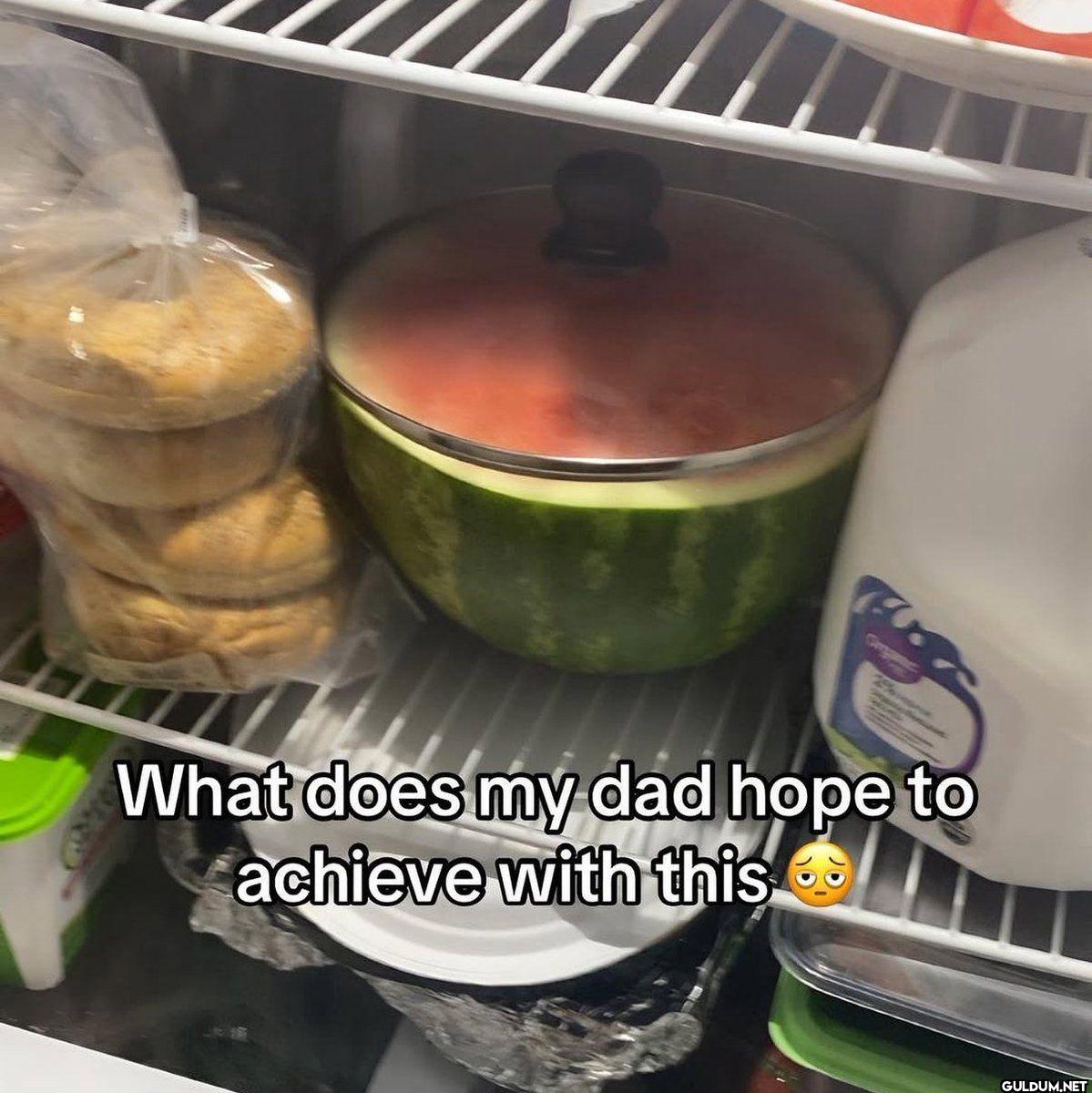 What does my dad hope to...