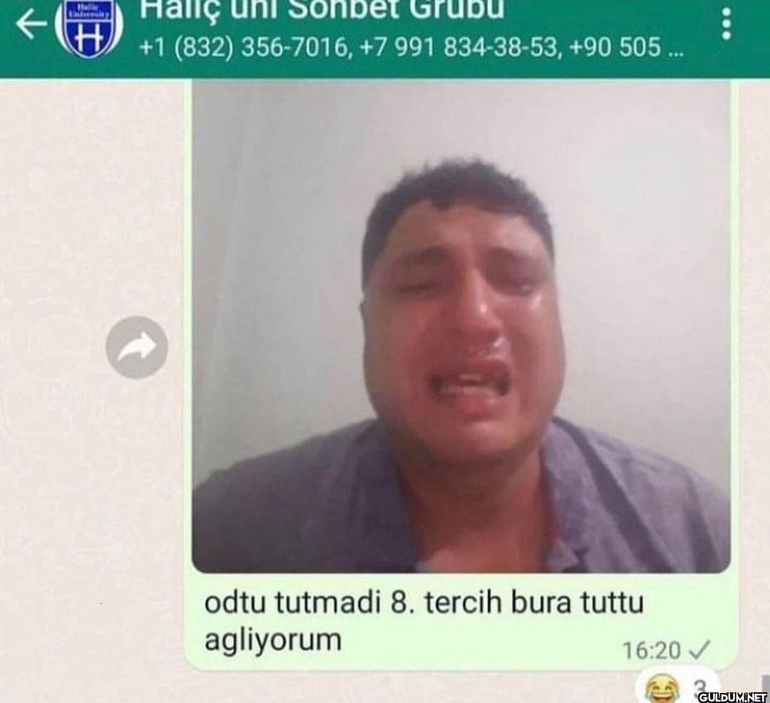 <) Haliç uni Sonbe Grub +1...