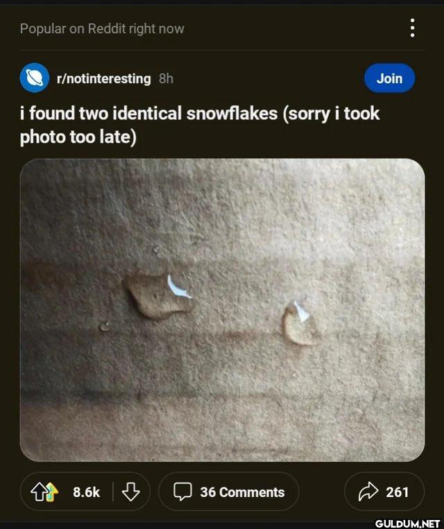 Popular on Reddit right...