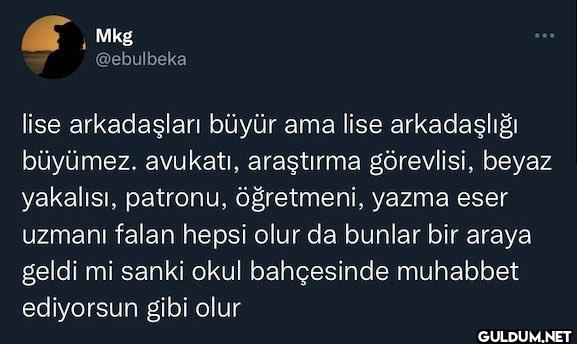 lise arkadaşları büyür ama...