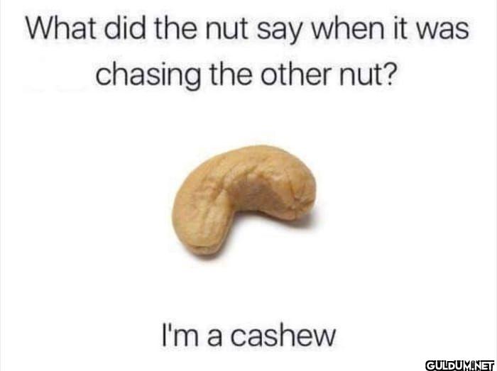 ︎ ︎ ︎ ︎ ︎ ︎ ︎ ︎ ︎ ︎ ︎ ︎ ︎...