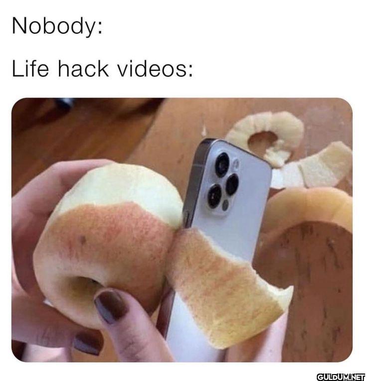 Nobody: Life hack videos: